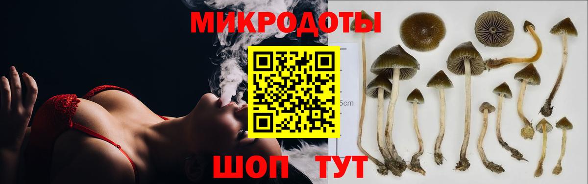 Апрелевка  Псилоцибиновые грибы прущие грибы  Вход с VPN  Псилоцибиновые грибы Cubensis 